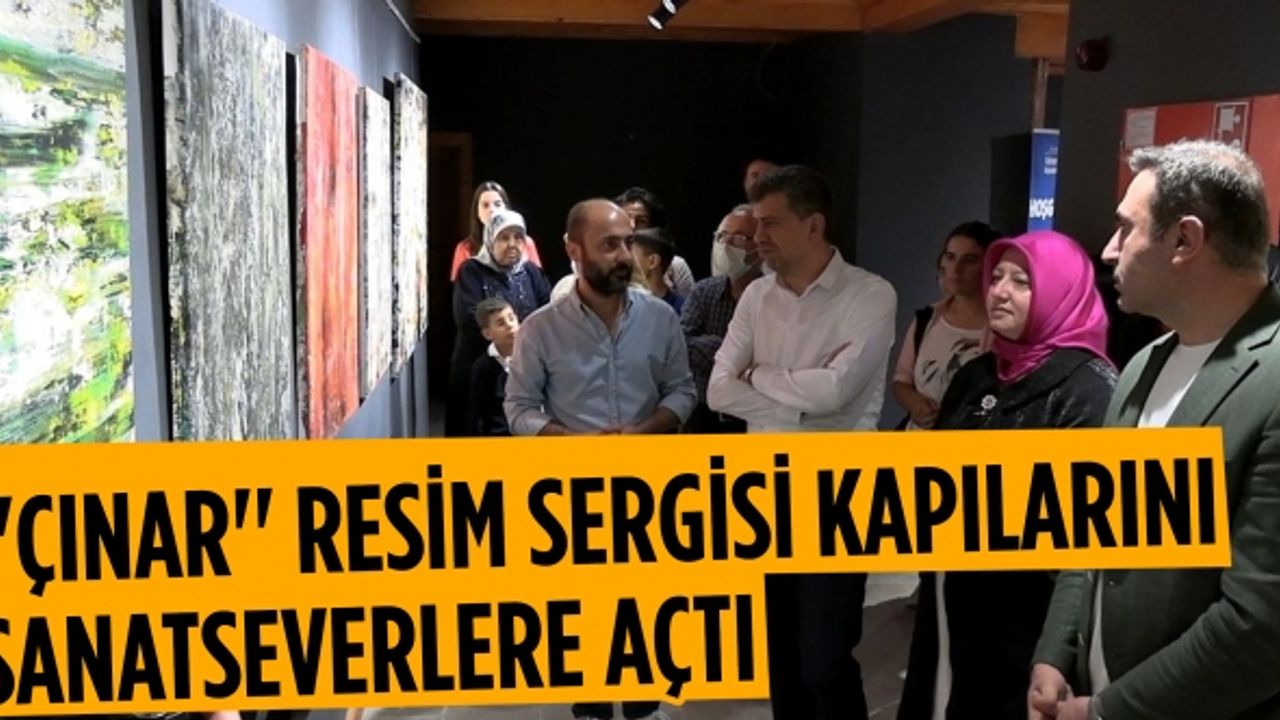 ''Çınar'' Resim sergisi kapılarını sanatseverlere açtı