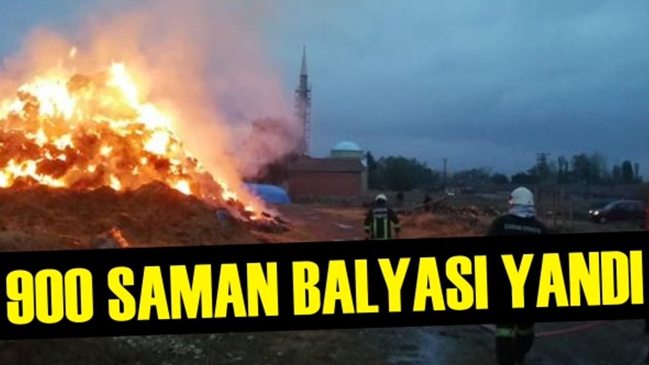 Çorum'da yıldırım düşmesi sonucu çıkan yangında 900 saman balyası yandı