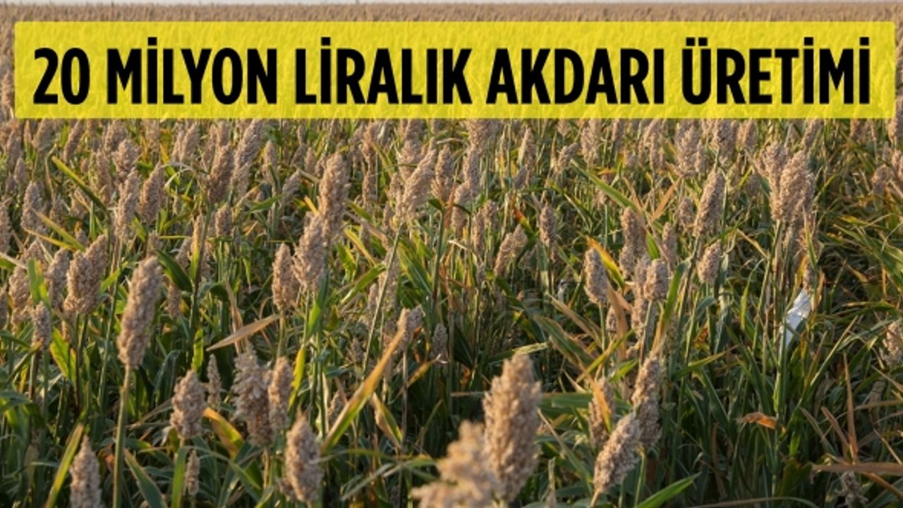 Kahramanmaraşlı çiftçilerden yılda 20 milyon liralık akdarı üretimi