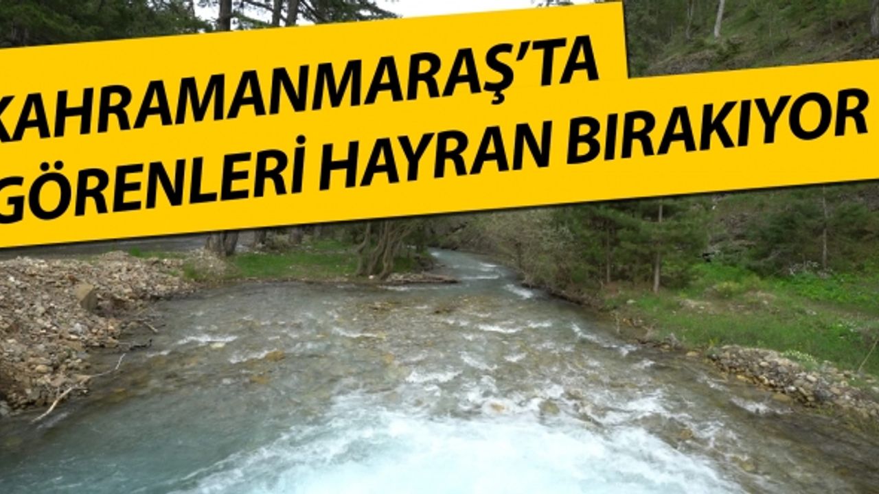 Kahramanmaraş’ta görenleri hayran bırakıyor