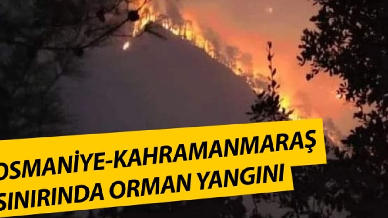 Osmaniye-Kahramanmaraş sınırında orman yangını