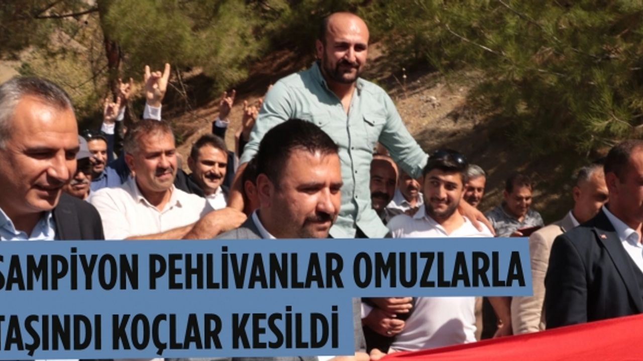 Şampiyon pehlivanlar omuzlarla taşındı koçlar kesildi