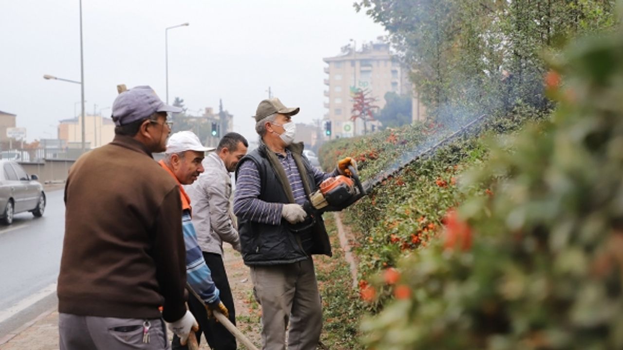 Dulkadiroğlu Belediyesi ekipleri park ve bahçelerde bakım çalışması yaptı