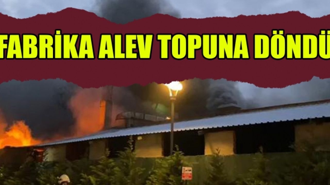 Esenyurt'ta Fabrika Alev Topuna Döndü