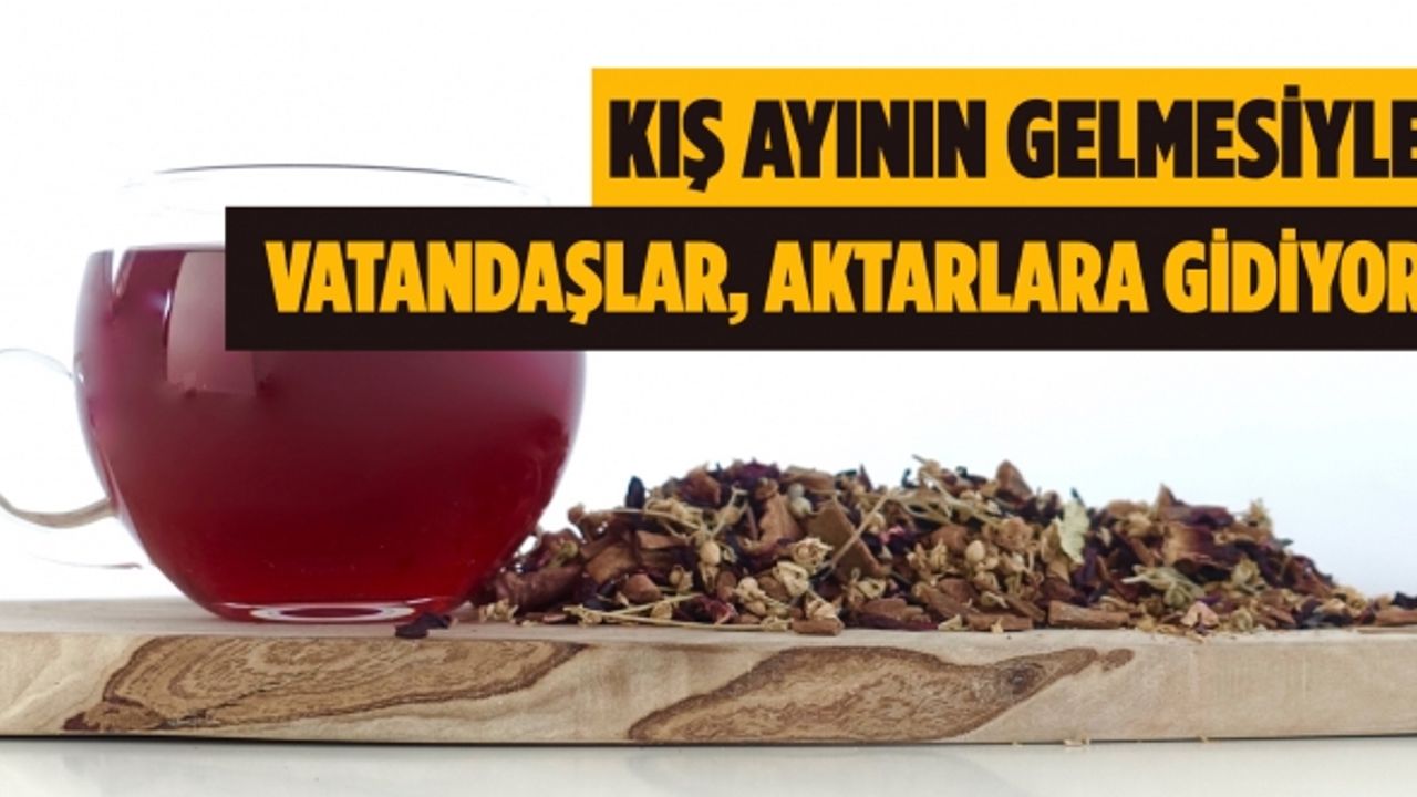 Gribe ve Soğuk Algınlığına Karşı Şifalı Bitkilere yoğun ilgi gösteriyor