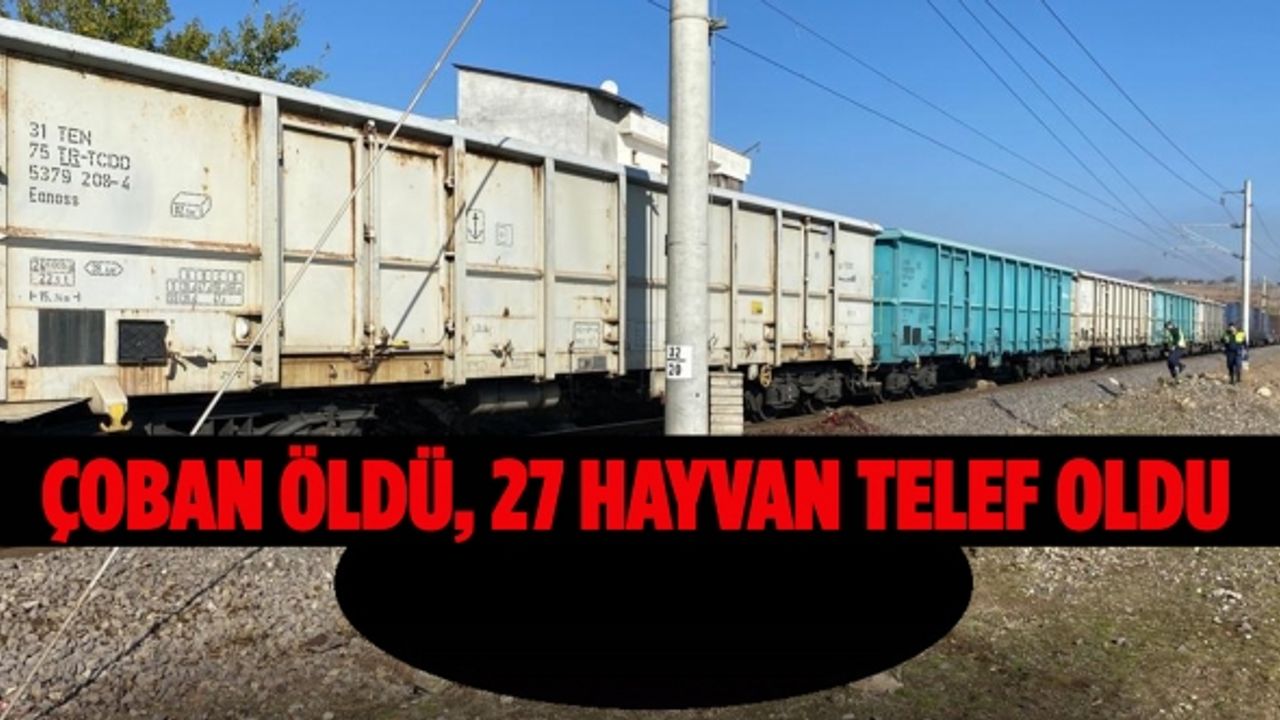 Kahramanmaraş’ta yük treninin çarptığı çoban öldü, 27 hayvan telef oldu