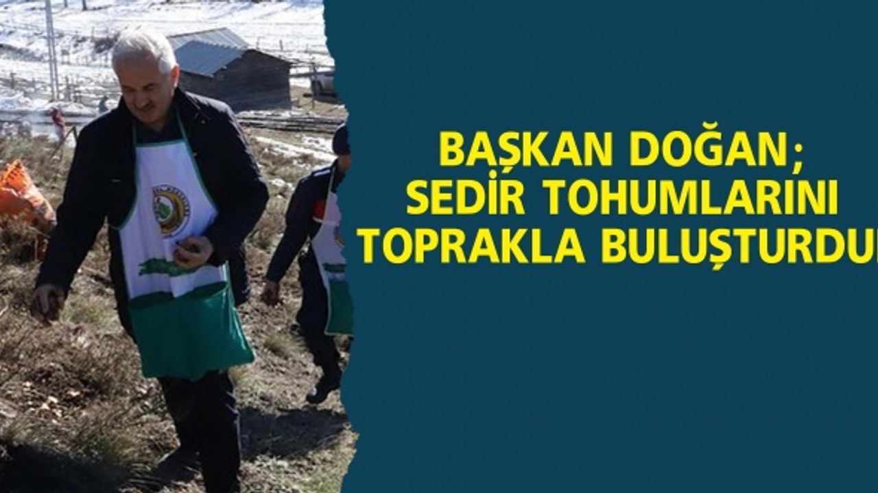 Andırın İlçesi Çığşar Mahallesi Uçuk Mevkiinde Karpelli Sedir Ekimi Yapıldı