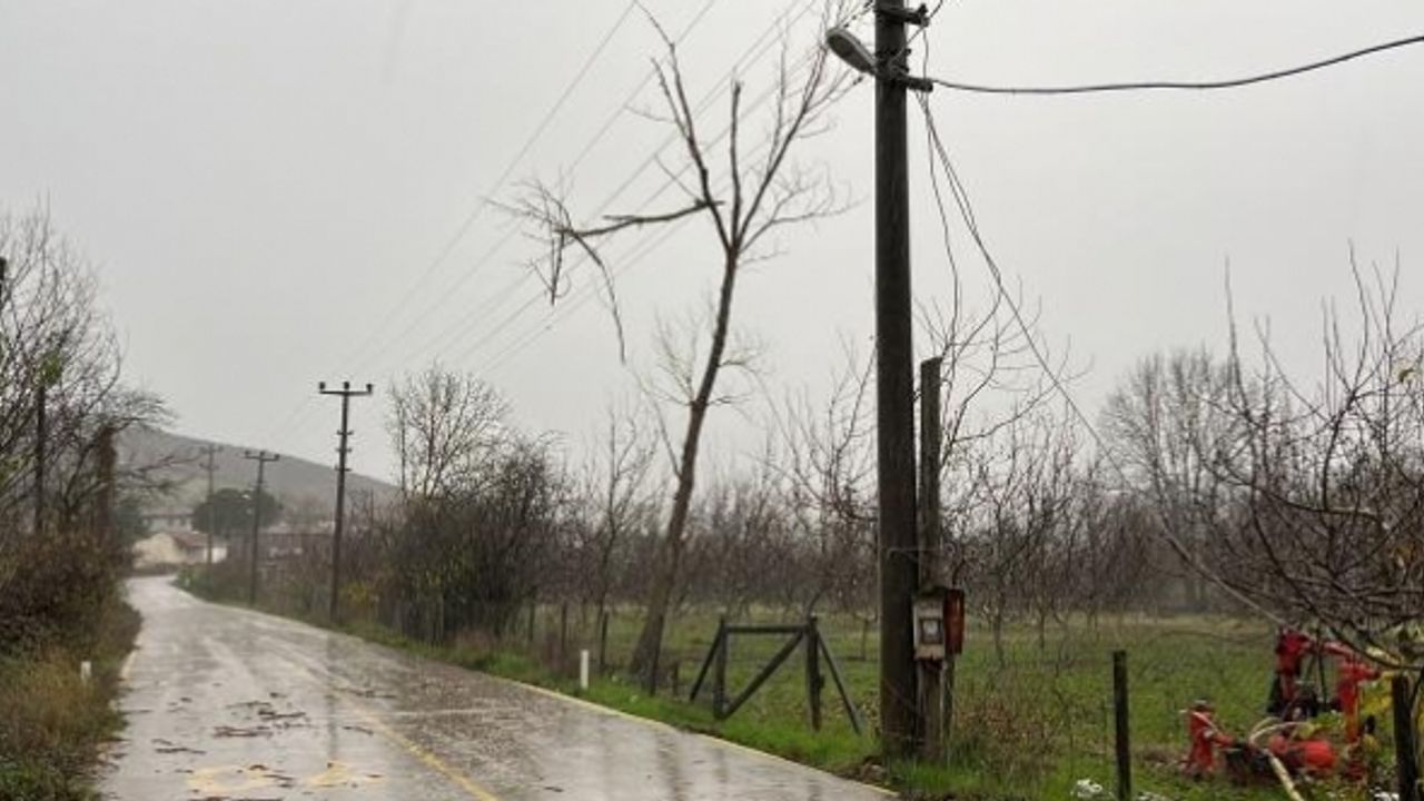 Çanakkale'de fırtınanın devirdiği ağaç enerji hattına zarar verdi