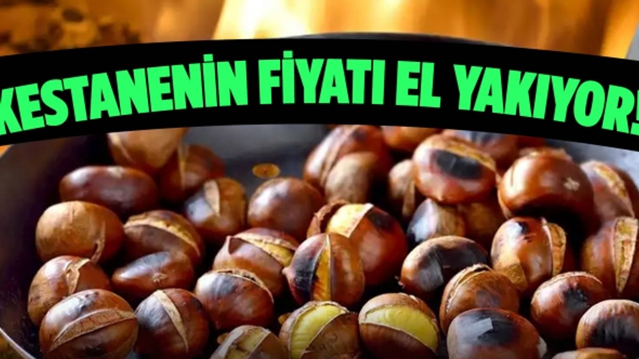 Fiyatı artan kestaneye ilgi devam ediyor