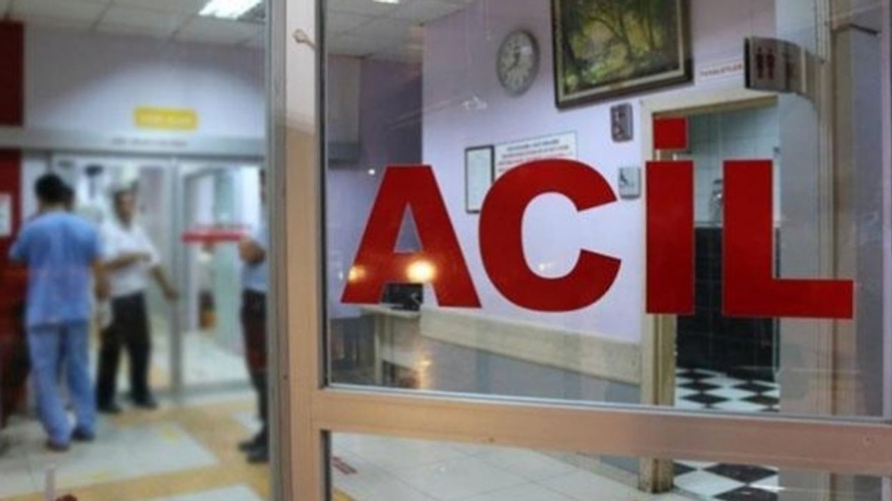 Muş’ta iki aile arasındaki arazi kavgası: 1 ölü, 5 yaralı