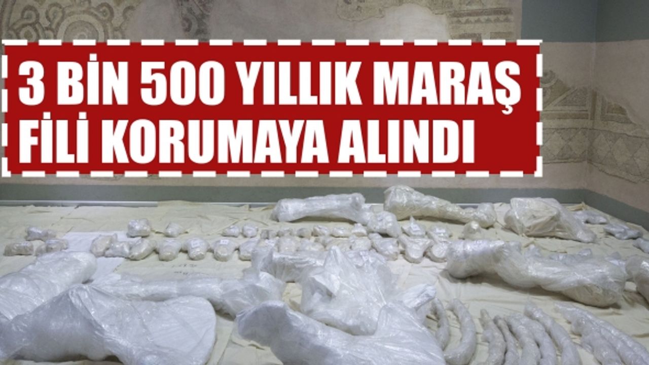 3 Bin 500 Yıllık 'Maraş Fili' Korumaya Alındı