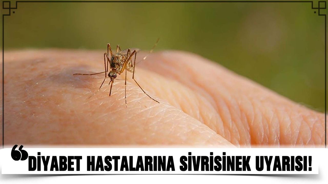 Diyabet Hastalarına Sivrisinek Uyarısı!