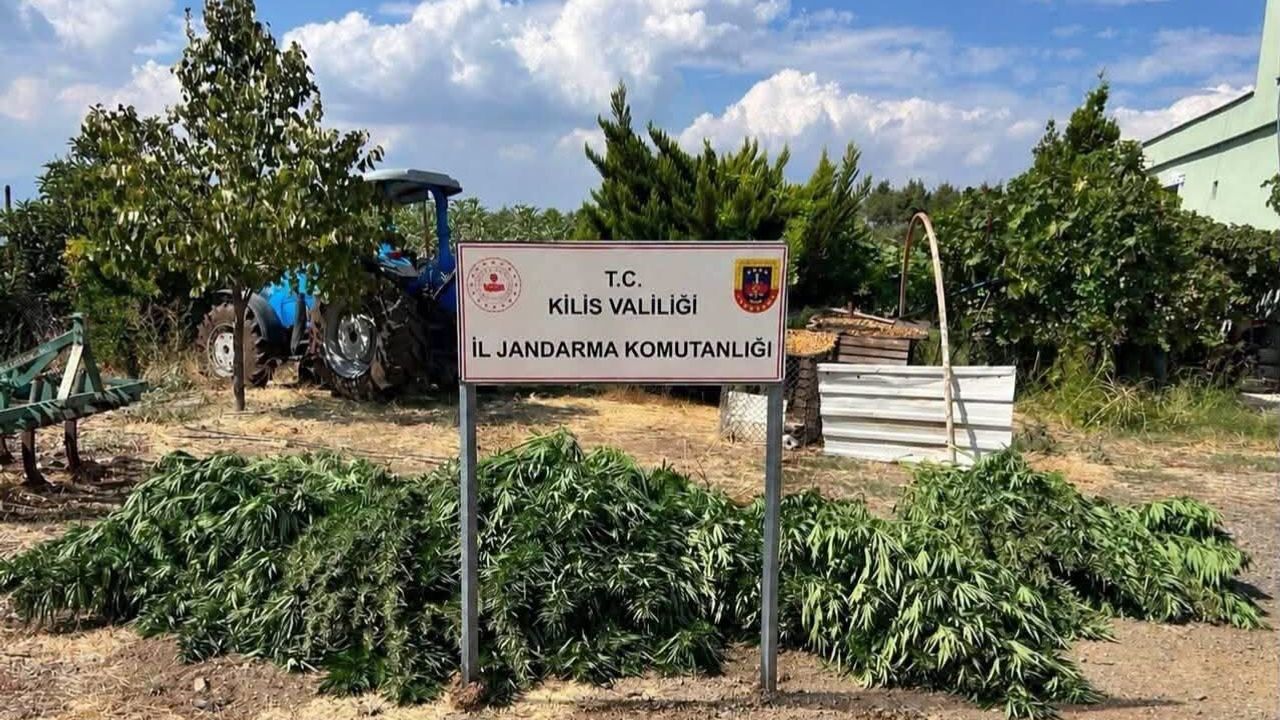 Kilis'te 40 kilo 500 gram esrar ele geçirildi