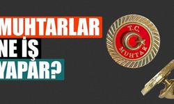 Muhtarlar Ne İş Yapar?