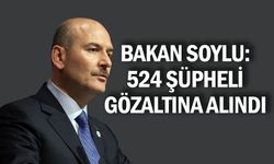 Bakan Soylu: 524 Şüpheli Gözaltına Alındı