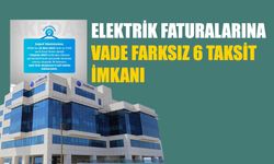 Elektrik faturalarına vade farksız 6 taksit imkanı