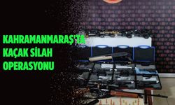 Kahramanmaraş'ta kaçak silah operasyonu