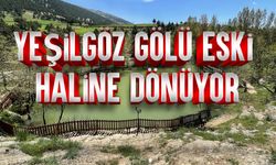 Yeşilgöz Gölü Eski Haline Dönüyor