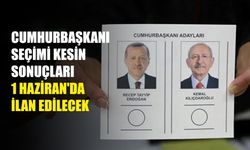 Cumhurbaşkanı Seçimi kesin sonuçları 1 Haziran'da ilan edilecek