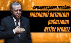 Cumhurbaşkanı Erdoğan: Masadaki ortakları çoğaltmak netice vermez