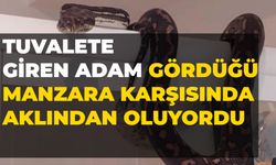 Tuvalete Giren Adam Gördüğü Manzara Karşısında Aklından Oluyordu