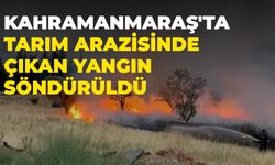 Kahramanmaraş'ta Tarım Arazisinde Çıkan Yangın Söndürüldü