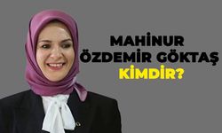 Aile ve Sosyal Hizmetler Bakanı Mahinur Özdemir Göktaş Kimdir?