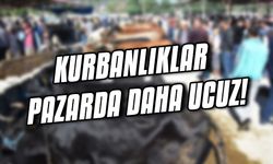 Kurbanlıklar pazarda daha ucuz!