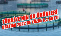 Türkiye'nin Su Ürünleri Üretimi 2022'de Yüzde 6,2 Arttı