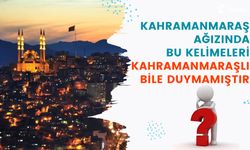 Kahramanmaraş Ağızında Bu Kelimeleri Kahramanmaraşlı Bile Duymamıştır