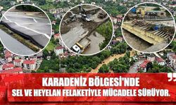 Karadeniz Bölgesi'nde Sel Ve Heyelan Felaketiyle Mücadele Sürüyor.