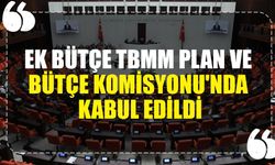 Ek Bütçe TBMM Plan ve Bütçe Komisyonu'nda Kabul Edildi