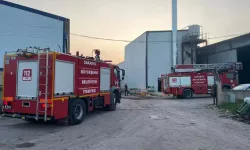 Kereste fabrikasında korkunç olay: Bomba gibi patladı