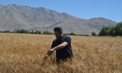 Elbistan'da Ekmek Ücretsiz Dağıtılacak