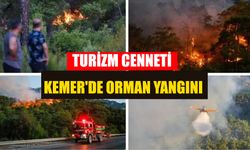 Turizm Cenneti Kemer'de Orman Yangını