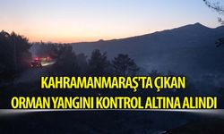 Kahramanmaraş'ta çıkan orman yangını kontrol altına alındı