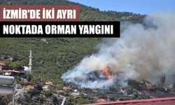 İzmir'de orman yangını: Havadan ve karadan müdahale ediliyor