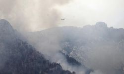 Kemer yangını 4. gününde: Havadan ve karadan müdahale sürüyor