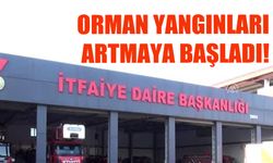 Orman Yangınları Artmaya Başladı!