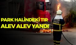 Park halindeki tır alev alev yandı