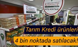 Tarım Kredi ürünleri 4 bin noktada satılacak!