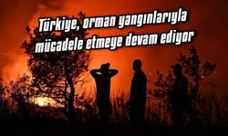 Türkiye, orman yangınlarıyla mücadele etmeye devam ediyor