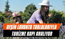 Afşin Lavanta Tarlalarıyla Turizme Kapı Aralıyor