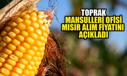 Toprak Mahsulleri Ofisi Mısır Alım Fiyatını Açıkladı