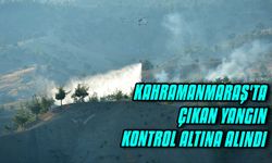 Kahramanmaraş'ta ormanlık alanda çıkan yangın kontrol altına alındı