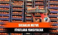 Sıcaklık Meyve Fiyatlara Yansıyacak