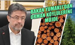 Bakan Yumaklı'dan Orman Köylülerine Müjde