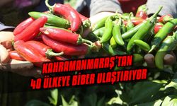 Bu Biberler Dünyaya Satılıyor Hem de Kahramanmaraş'tan!