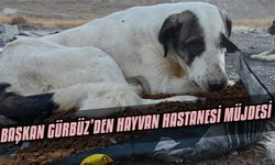 Başkan Gürbüz’den hayvan hastanesi müjdesi