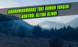 Kahramanmaraş'taki orman yangını kontrol altına alındı